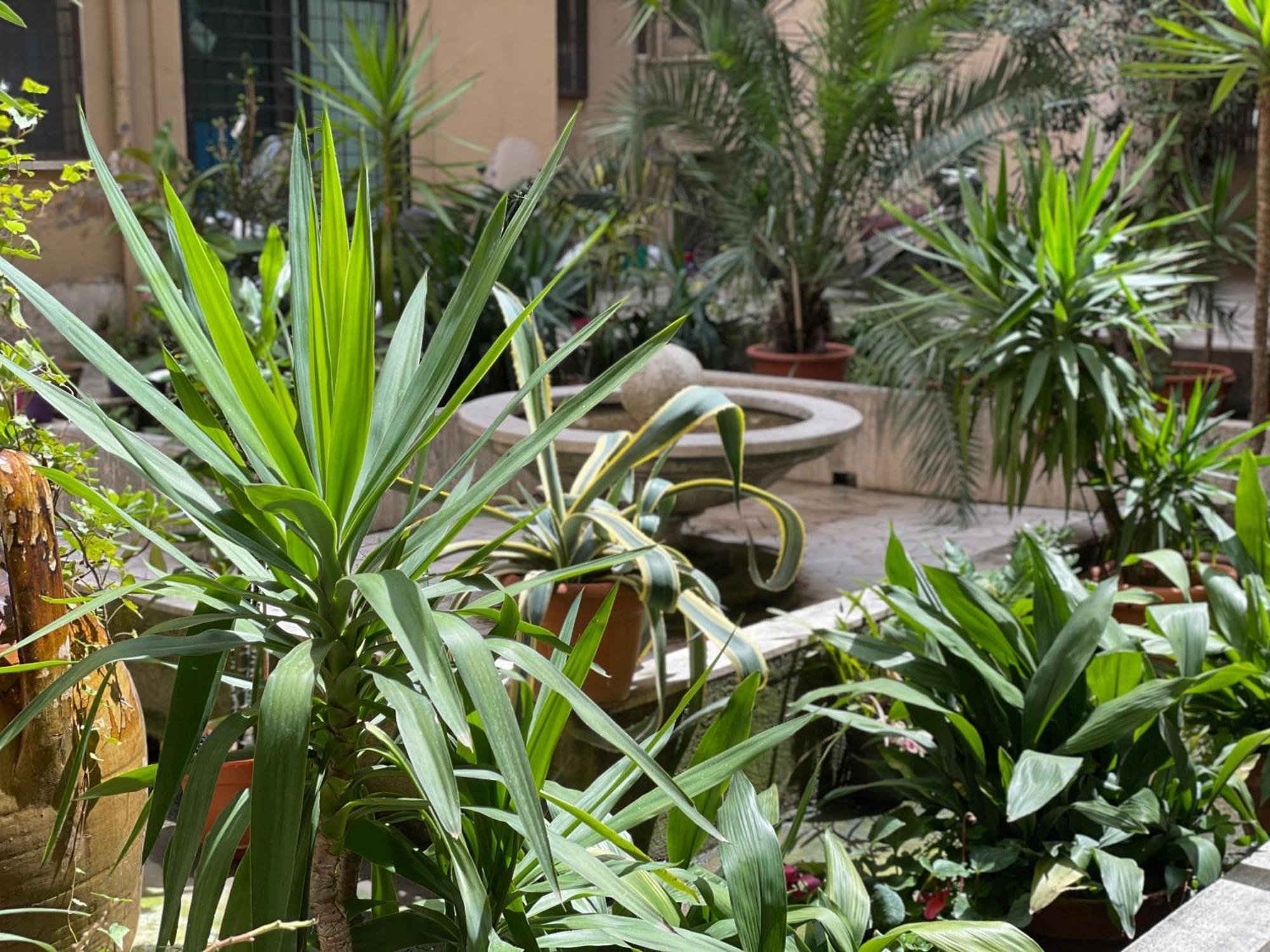 Home Sweet Rome Vatican Exterior foto